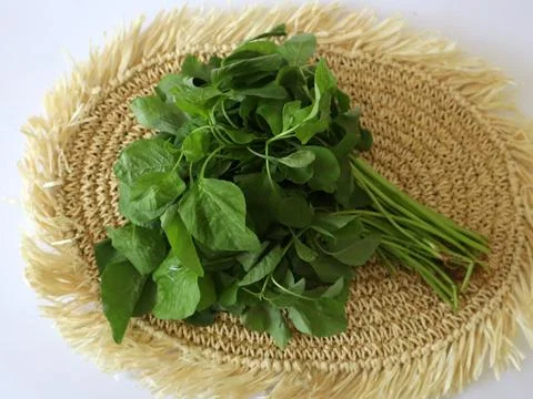 Bunch of spinach leaves on a wicker background Stock Photos