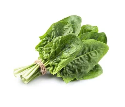 Bunch of spinach salad Stock Photos