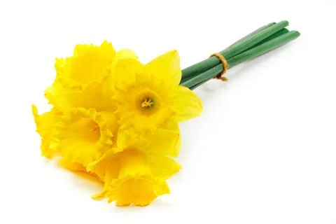 Bunch of spring daffodils Foto stock