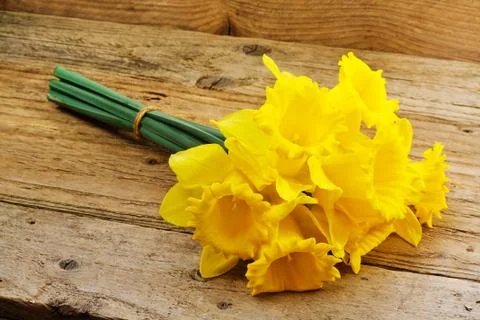 Bunch of spring daffodils Stock Photos