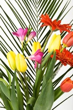 Bunch of spring flowers Stock Photos