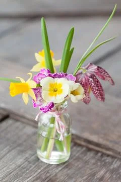 Bunch of spring flowers Stock Photos