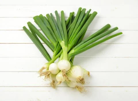 Bunch of spring onion Stock Photos