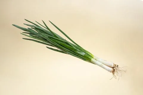 Bunch of spring onions levitating on beige background Stock Photos