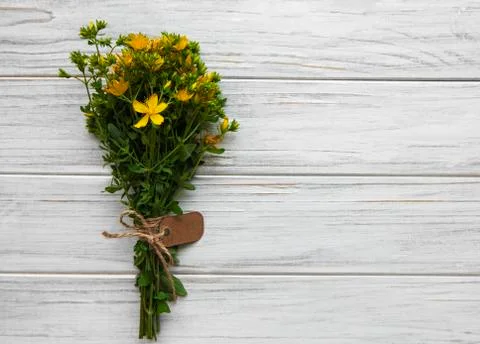 Bunch of St. John's wort  on a table Stock Photos