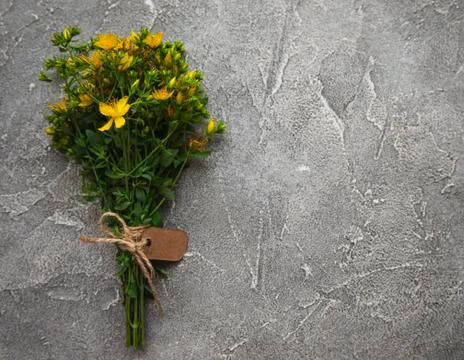 Bunch of St. John's wort  on a table Stock Photos