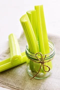Bunch of stalks of a celery Stock Photos
