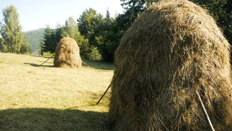 A bunch of straw in the mountains Stock Footage 95809016