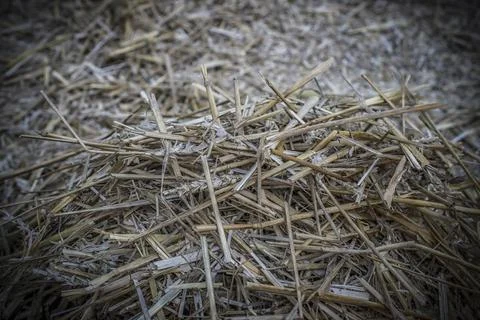 A bunch of straw Stock Photos