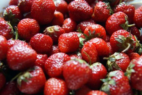 A bunch of strawberries, close-up Stock Photos