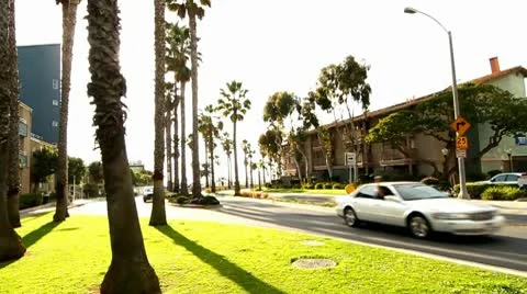 Bunch Sunset Vidéo 10718706