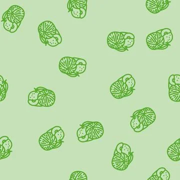 Bunch tangerine line vector seamless pattern Stock Illustration