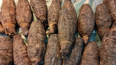 A bunch of taro on display Stock Footage 260201875