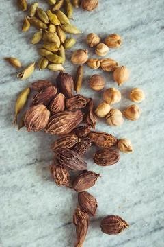 Bunch of three types of cardamom Stock Photos