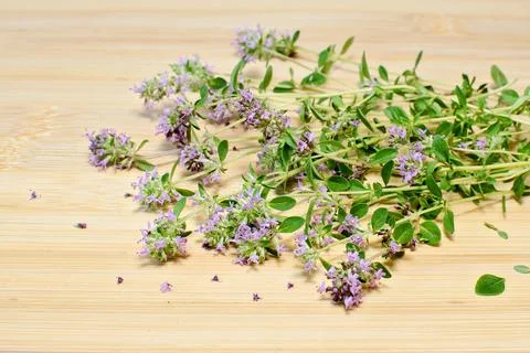 Bunch of thyme on a kitchen board Stock Photos