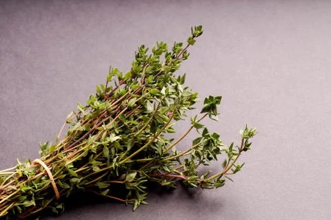Bunch of Thyme Stock Photos