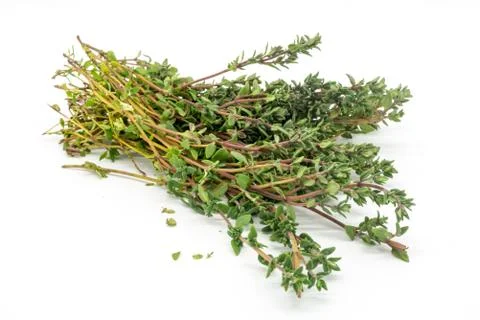 A Bunch of Thyme Stock Photos