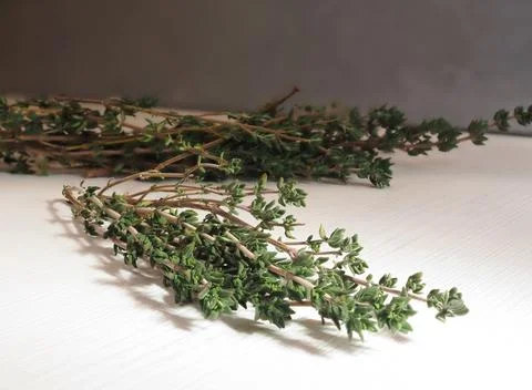 A bunch of thyme 库存照片