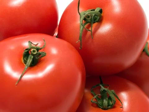 Bunch of tomato Stock Photos
