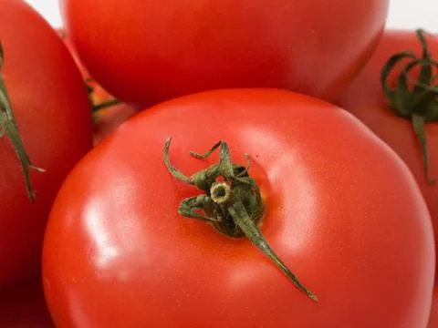 Bunch of tomato Stock Photos