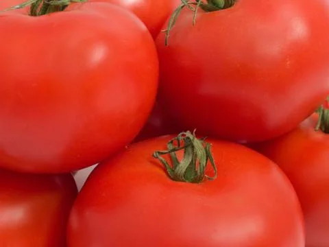 Bunch of tomato Stock Photos
