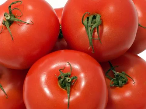 Bunch of tomato Stock Photos