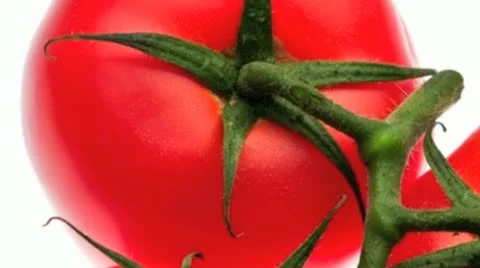 Bunch of tomatoes against a white background Stock Footage 21316469