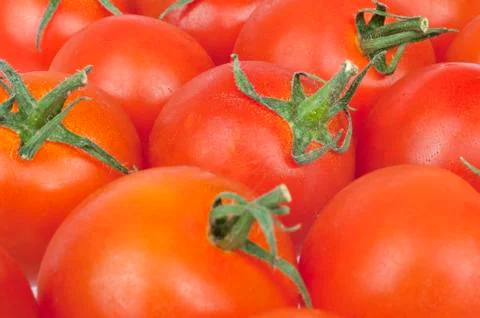 Bunch of tomatoes alongside Stock Photos