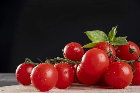 Bunch of tomatoes with basil leaves on white marble stone Stock Photos