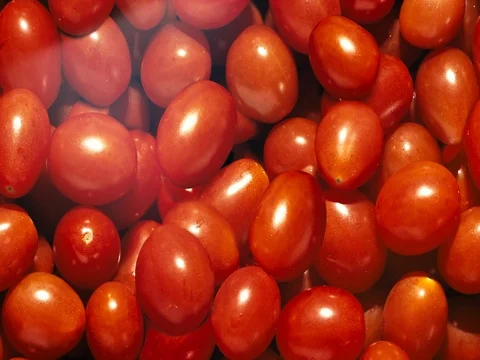 A bunch of tomatoes Stock Footage 73423226