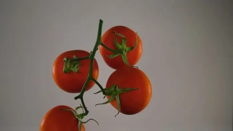 Bunch of tomatoes Stock-Footage 197017628
