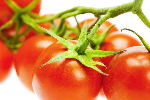A bunch of tomatoes  isolated on white Stock Photos