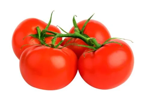 Bunch  tomatoes Stock Photos