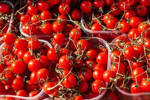 Bunch of tomatoes Foto stock