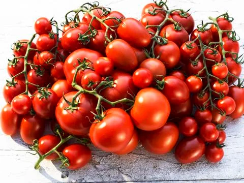 Bunch of tomatoes Stock Photos