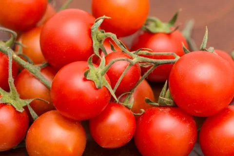 The bunch of tomatoes Stock Photos
