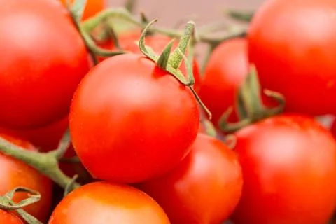The bunch of tomatoes Stock Photos