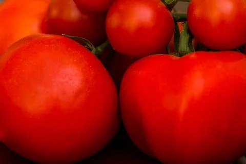 The bunch of tomatoes Stock Photos