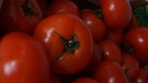 Bunch of tomatoes Stock Photos