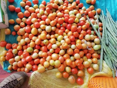 A bunch of tomatoes placed on a surface Stock Photos