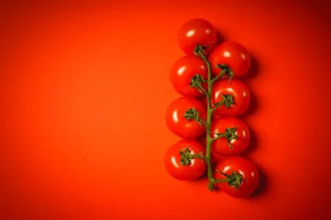 Bunch of tomatoes on a red background Stock Photos