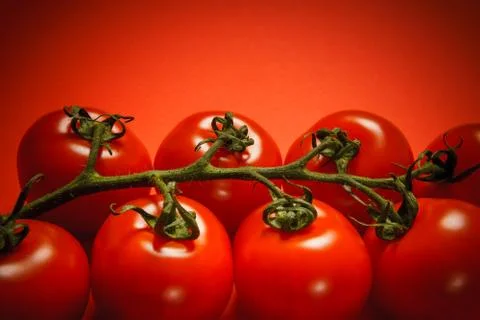 Bunch of tomatoes on a red background Stock Photos