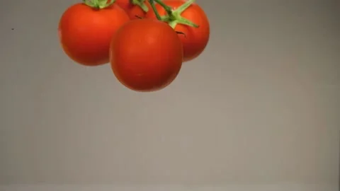 Bunch tomatoes in water Stock Footage 197089156