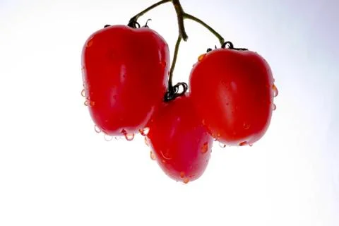 Bunch of tomatoes on the white  background Stock Photos