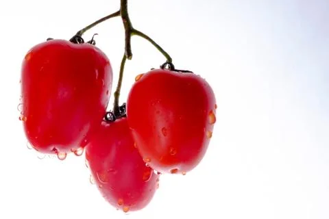 Bunch of tomatoes on the white  background Stock Photos