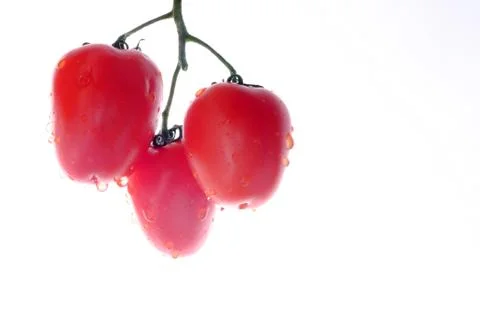 Bunch of tomatoes on the white  background Foto stock