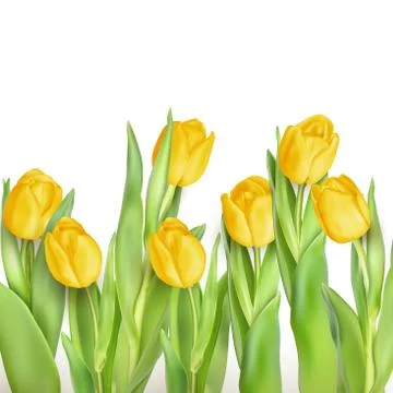 Bunch of tulips. EPS 10 Stock Illustration