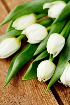 Bunch of tulips Stock Photos