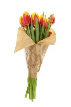 Bunch of tulips Stock Photos