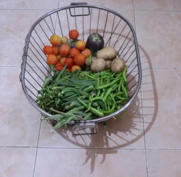 Bunch of vegetable in bucket with shadow Stock Photos